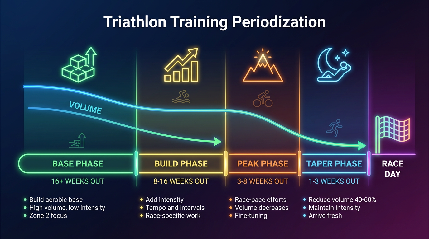 Infographic showing triathlon training periodization: Base (16+ weeks), Build (8-16 weeks), Peak (3-8 weeks), Taper (1-3 weeks) leading to race day